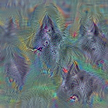 n02104365 schipperke